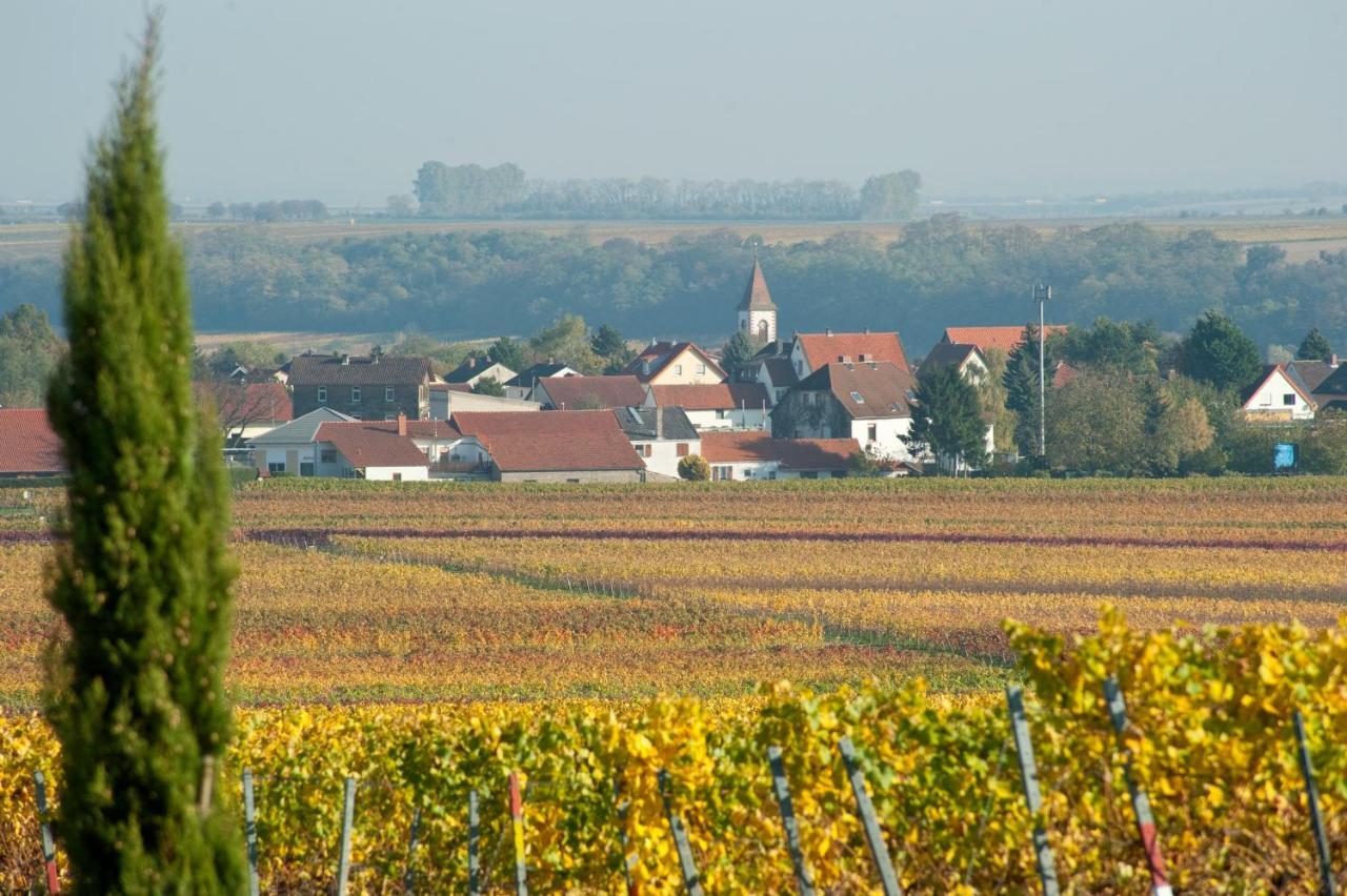 Gaestehaus & Weingut Peth Florsheim-Dalsheim Exteriör bild